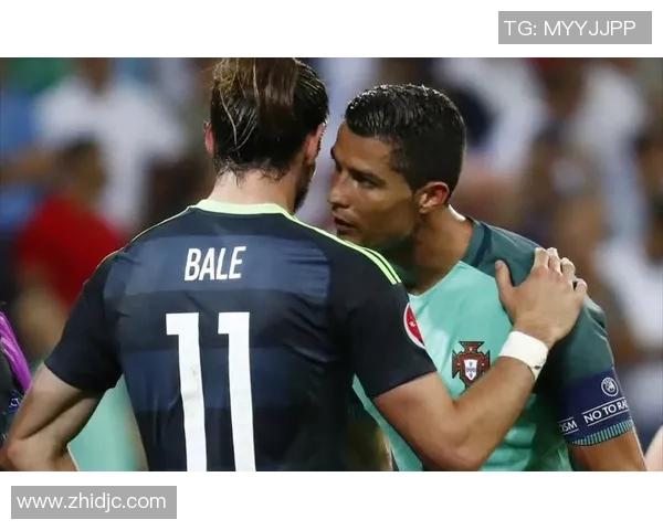 欧洲杯精彩对决回顾葡萄牙与威尔士全程战况分析与精彩瞬间分享