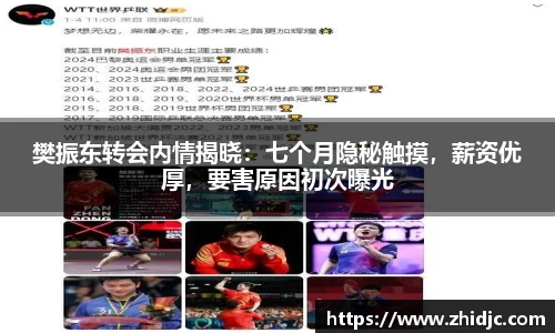樊振东转会内情揭晓：七个月隐秘触摸，薪资优厚，要害原因初次曝光